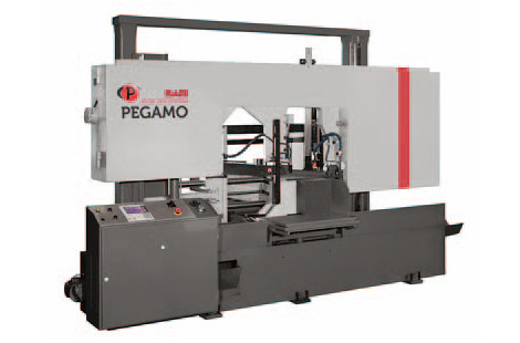 Pegamo-Sabi PB550A